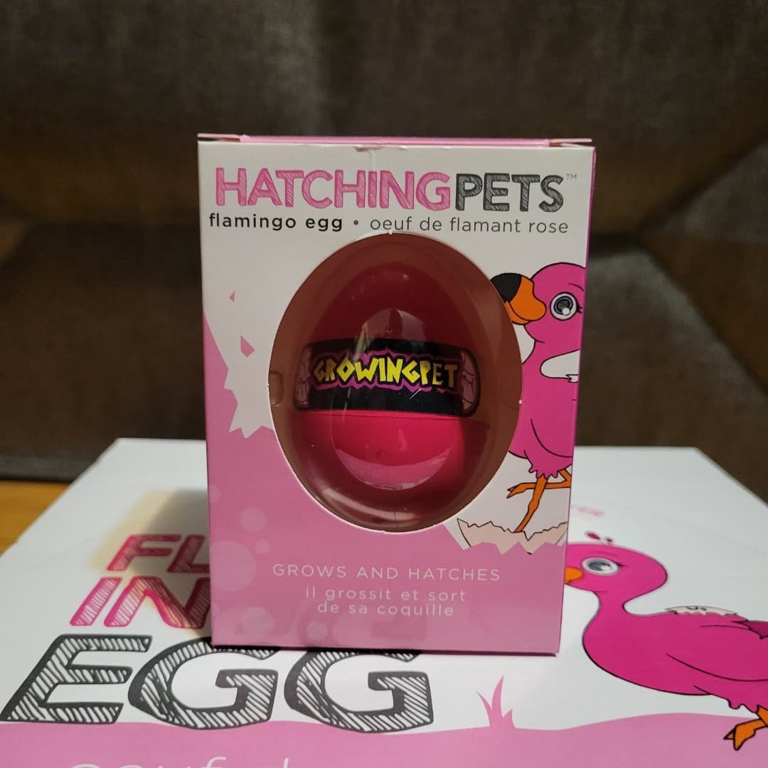 Flamingo Egg Hatching Pets - Thumbnail 3