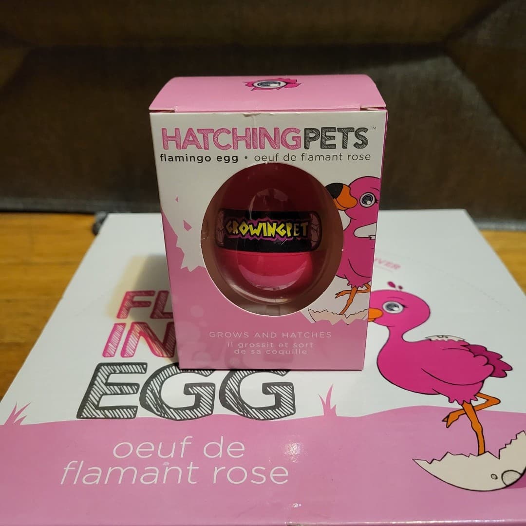 Flamingo Egg Hatching Pets - Thumbnail 2