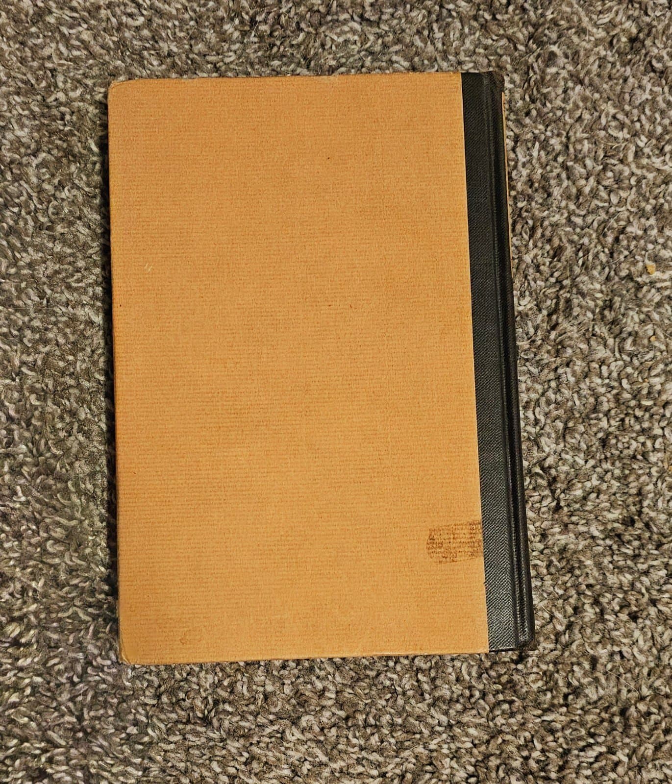 An Intimate Portrait of R•L•S By His Stepson Lloyd Osbourne - First Edition 1924 - Thumbnail 2