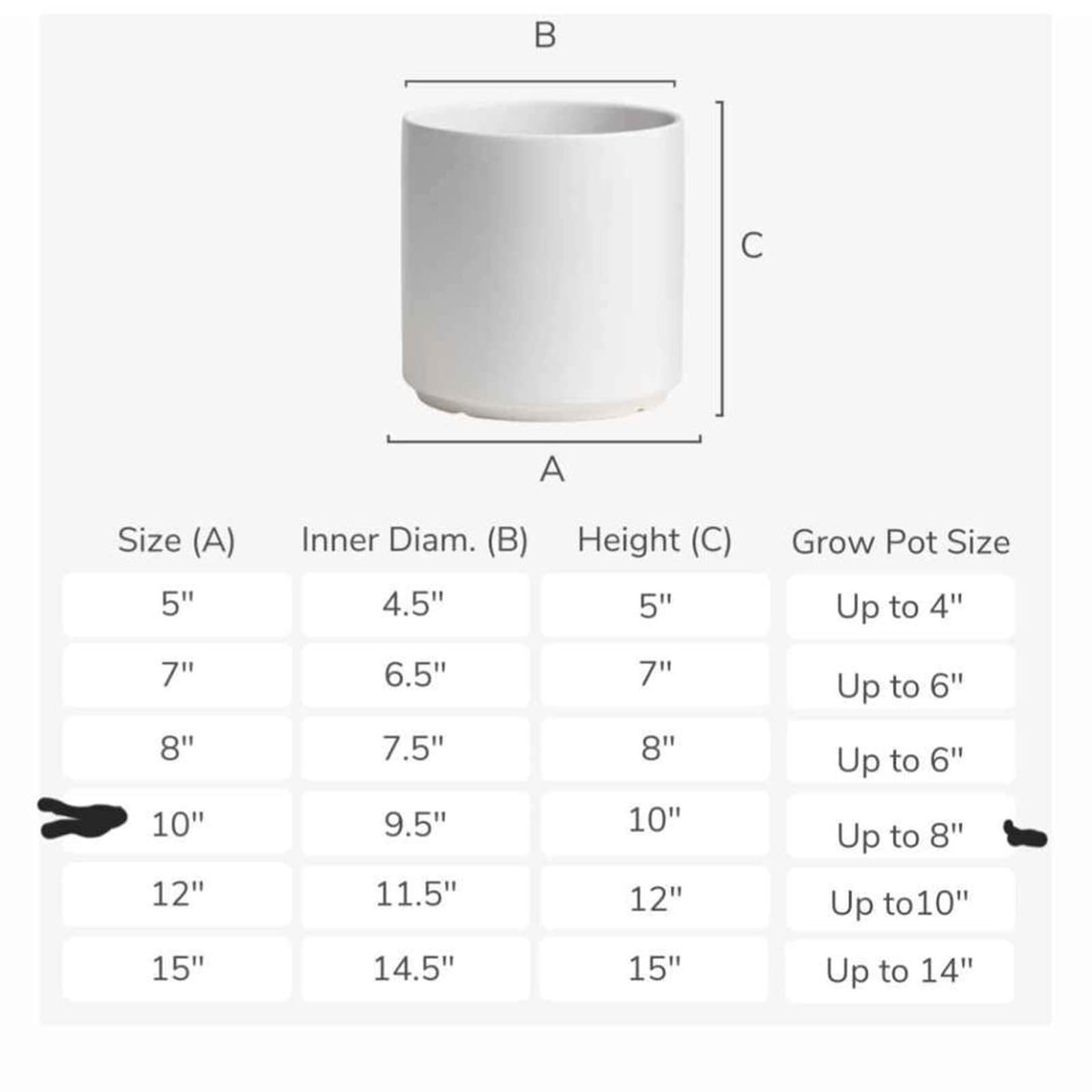 Peach & Pebble White 10 Inch Cylinder Ceramic Planter - Thumbnail 9