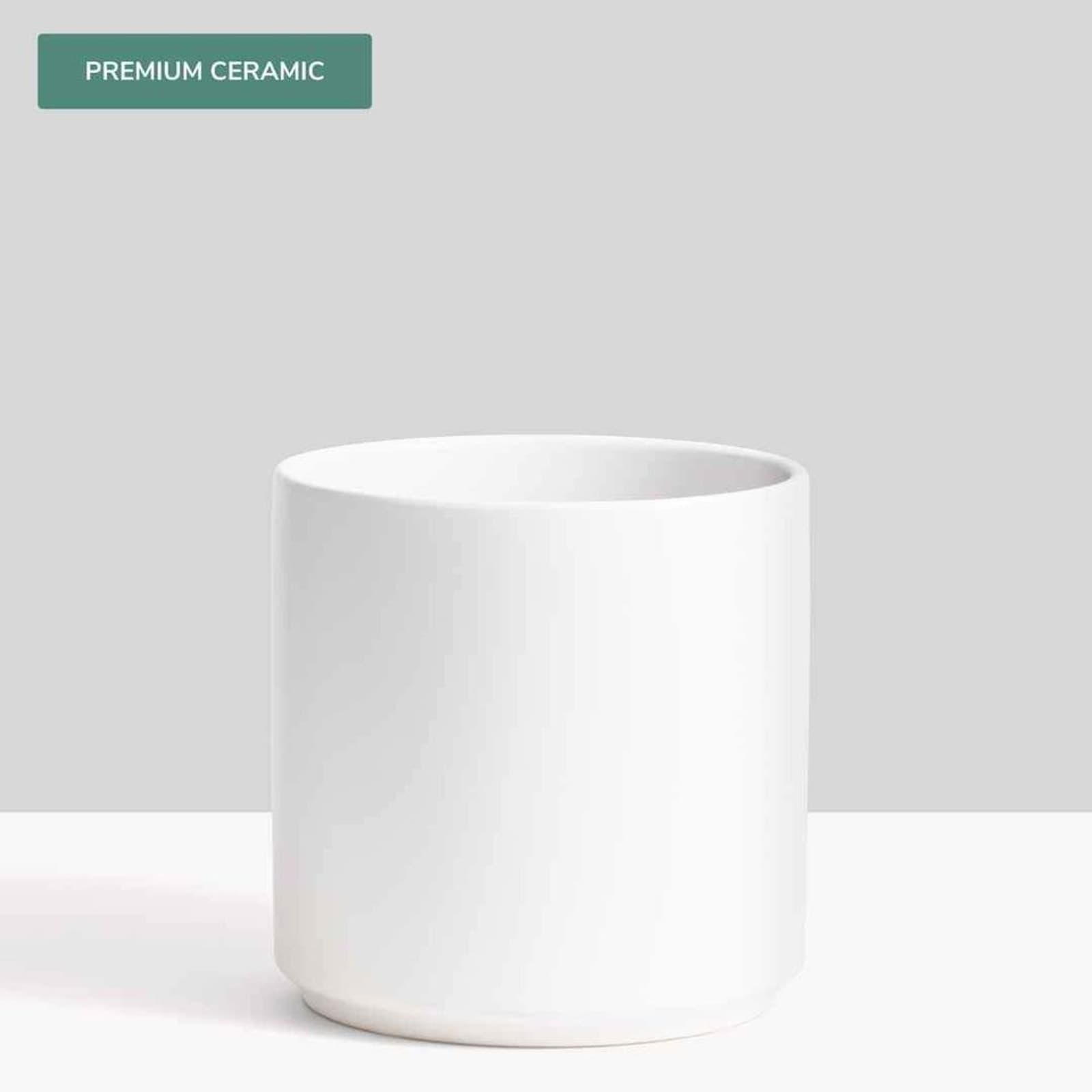 Peach & Pebble White 10 Inch Cylinder Ceramic Planter - Thumbnail 2