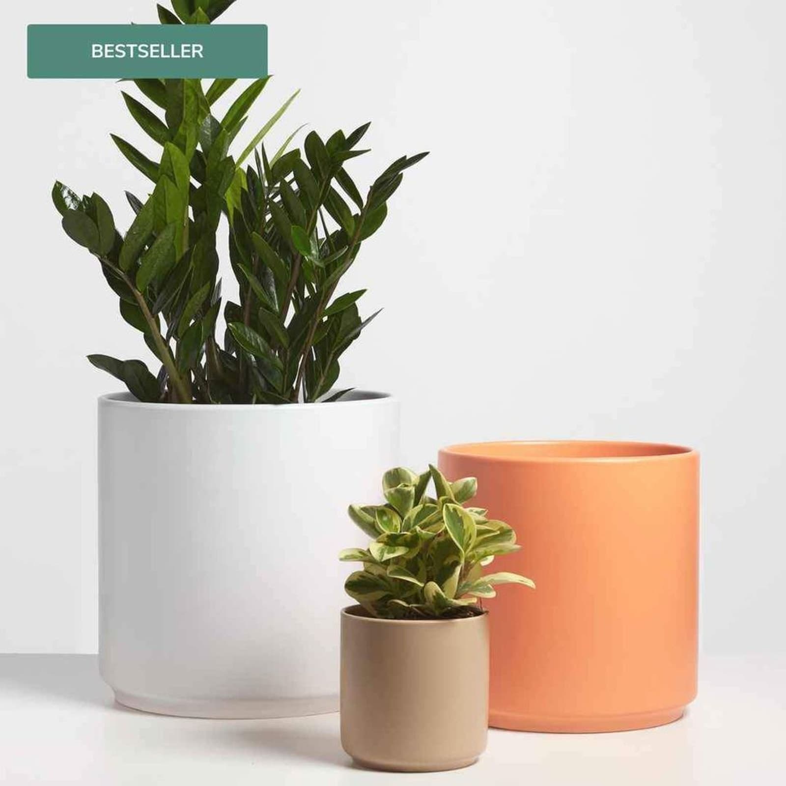 Peach & Pebble White 10 Inch Cylinder Ceramic Planter - Thumbnail 3