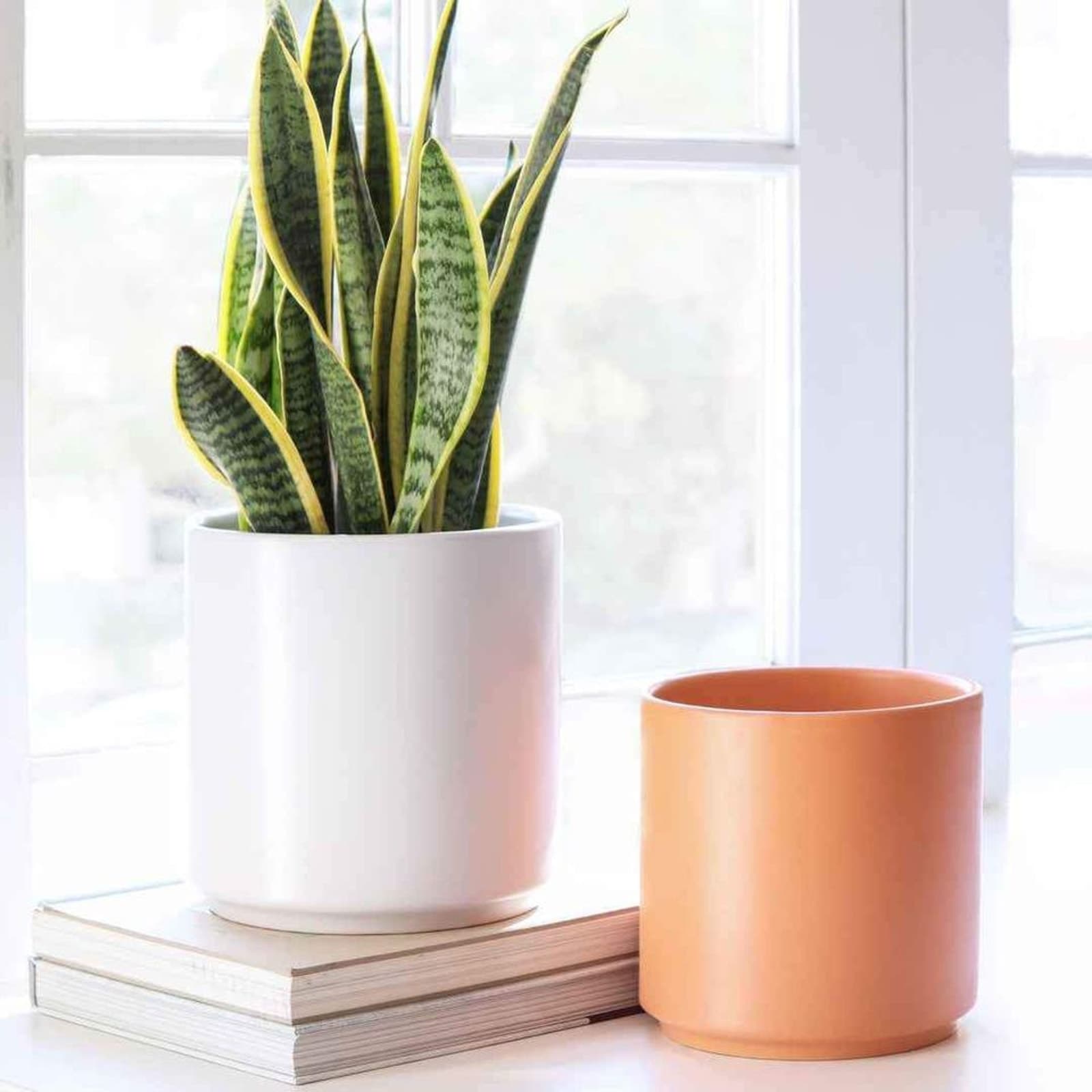 Peach & Pebble White 10 Inch Cylinder Ceramic Planter - Thumbnail 4