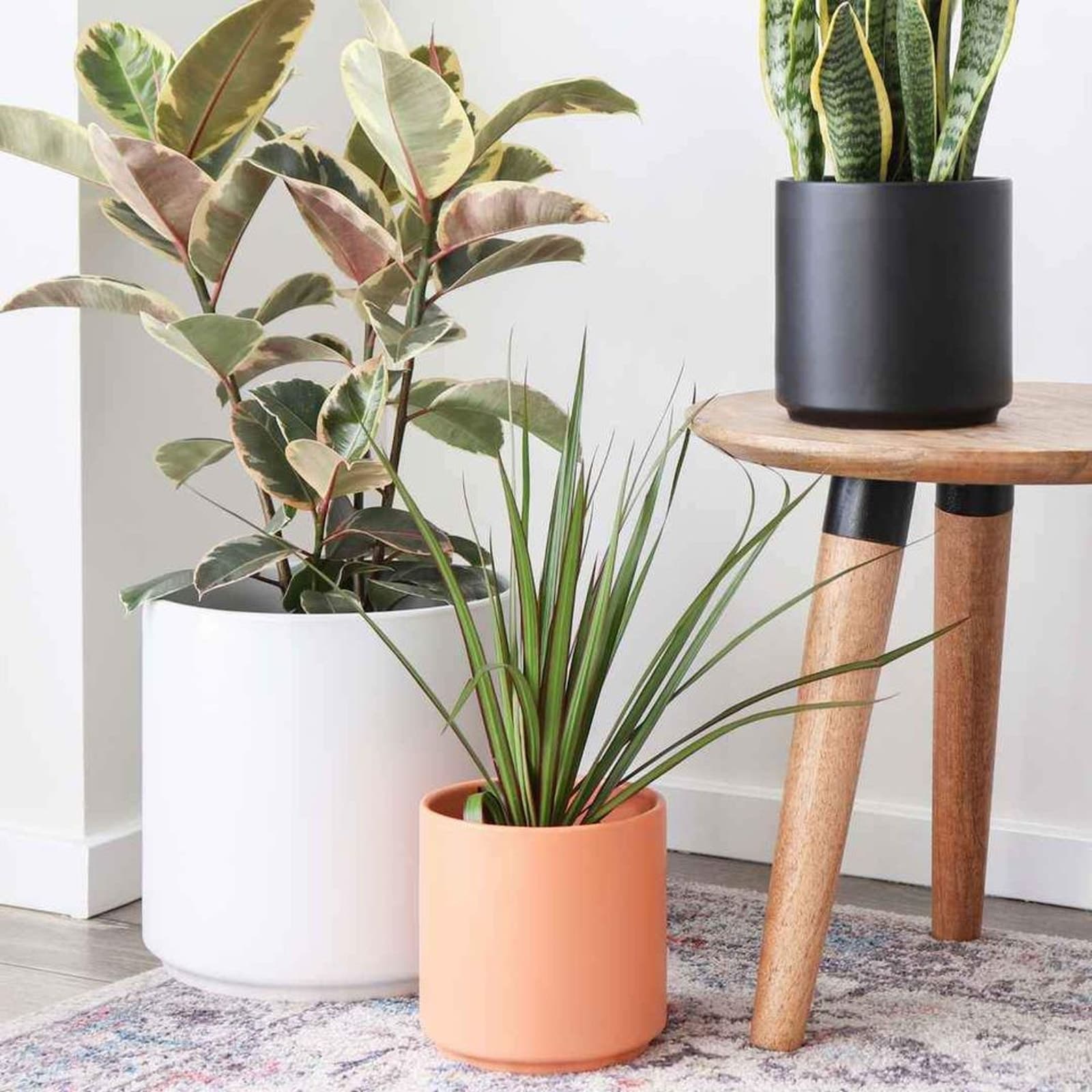 Peach & Pebble White 10 Inch Cylinder Ceramic Planter - Thumbnail 5