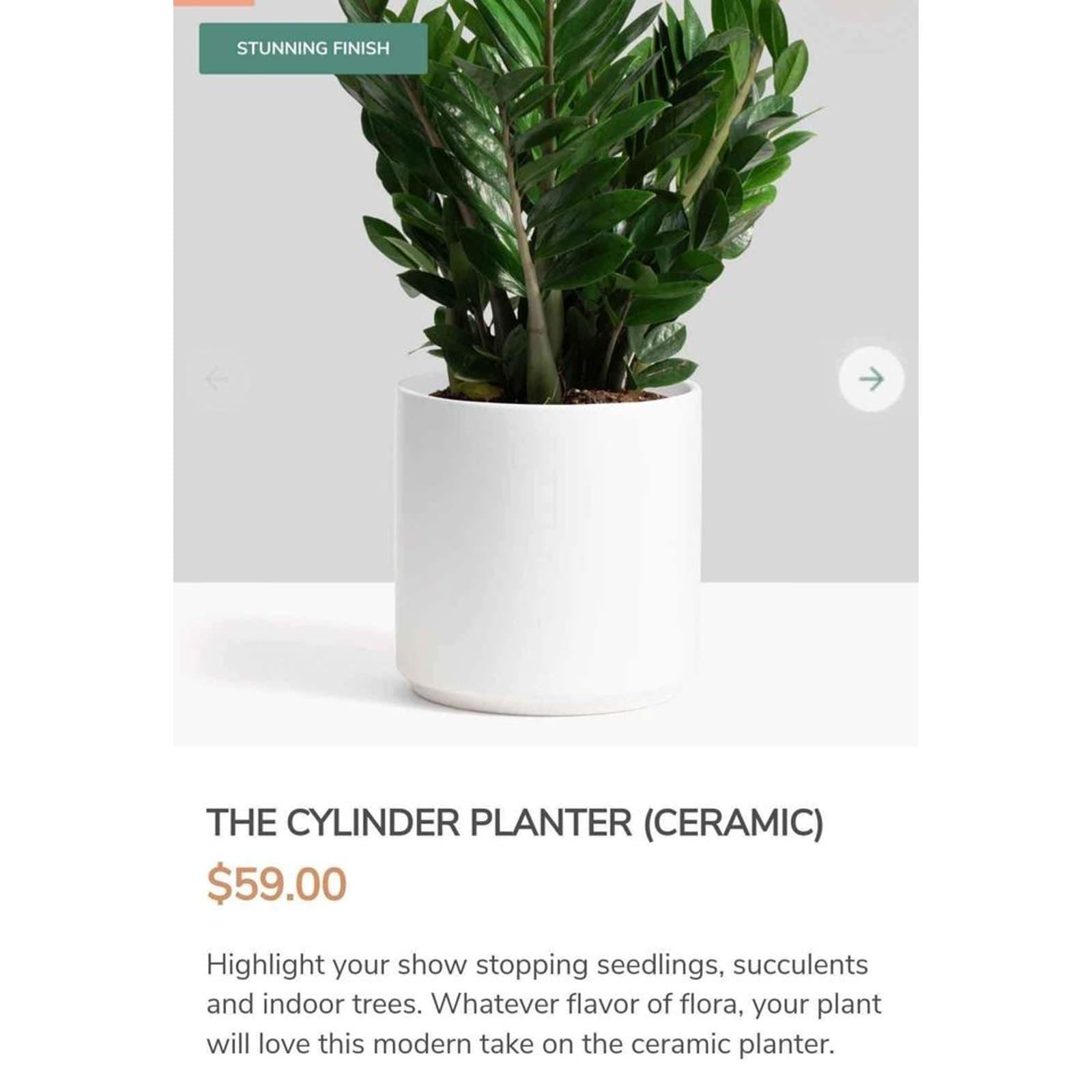 Peach & Pebble White 10 Inch Cylinder Ceramic Planter - Thumbnail 8