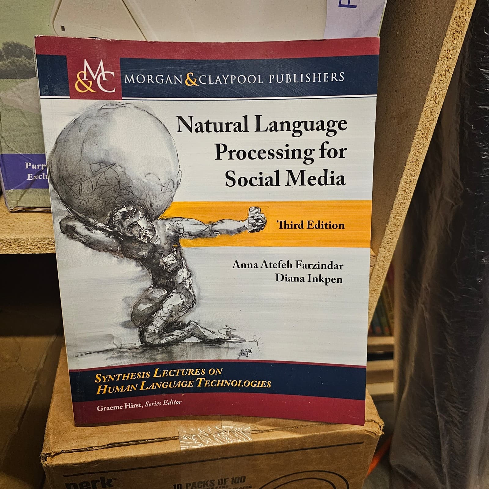 Natural Language Processing for Social Media Third Edition - Thumbnail 2