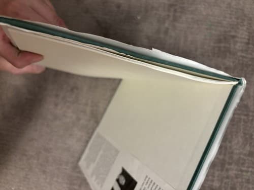 Cornelius Vandermouse: AUTOGRAPHED AND FIRST PRINTING! - Thumbnail 3