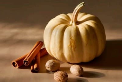 Pura White Pumpkin Smart Scent Fragrance Refill 0.33oz NEW Fall Scent NIB, Cozy! - Thumbnail 3