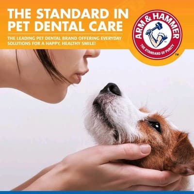 Arm & Hammer Dog Dental Water Additive 16oz Tartar Control Fresh Breath NEW - Thumbnail 7