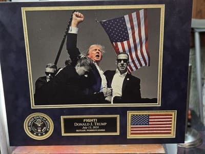 PRESIDENT DONALD J TRUMP 18.25"x14.5" DTS 1/4" White PVC Print "Fight" Photo - Thumbnail 4