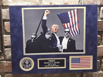 PRESIDENT DONALD J TRUMP 18.25"x14.5" DTS 1/4" White PVC Print "Fight" Photo - Thumbnail 2