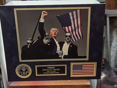 PRESIDENT DONALD J TRUMP 18.25"x14.5" DTS 1/4" White PVC Print "Fight" Photo - Thumbnail 3
