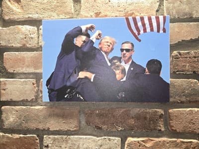 PRES. TRUMP Famous "FIGHT" Photo 8.25x11 DTS 1/4" White PVC Print W/hardware - Thumbnail 3