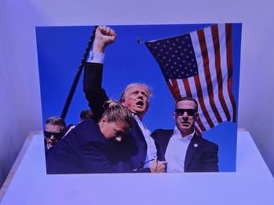 PRES. TRUMP Famous "FIGHT" Photo 8.25x11 DTS 1/4" White PVC Print W/hardware - Thumbnail 5