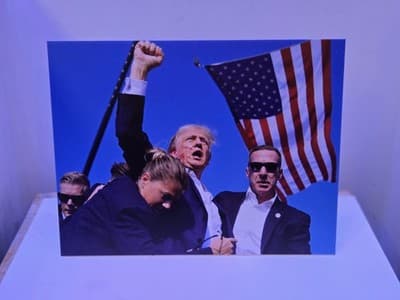 PRES. TRUMP Famous "FIGHT" Photo 8.25x11 DTS 1/4" White PVC Print W/hardware - Thumbnail 4