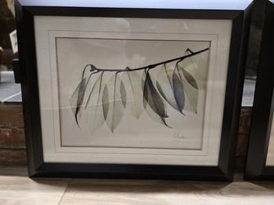 ALBERT KOETSIER framed signed ART PRINT EUCALYPTUS BRANCH Framed W/matte 20"x24" - Thumbnail 2