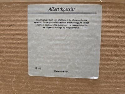 ALBERT KOETSIER framed signed ART PRINT EUCALYPTUS BRANCH Framed W/matte 20"x24" - Thumbnail 3