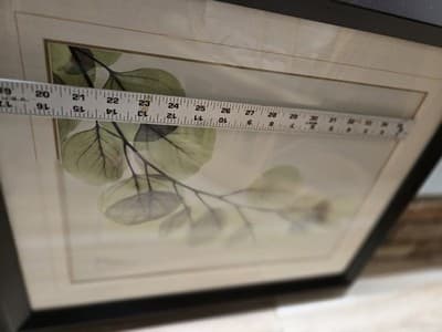 ALBERT KOETSIER framed signed ART PRINT XRAY BRANCH Framed W/matte 20"x24" - Thumbnail 5