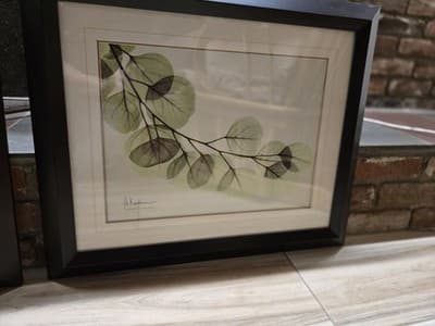 ALBERT KOETSIER framed signed ART PRINT XRAY BRANCH Framed W/matte 20"x24"