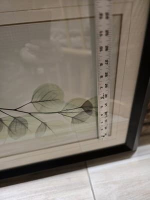 ALBERT KOETSIER framed signed ART PRINT XRAY BRANCH Framed W/matte 20"x24" - Thumbnail 3