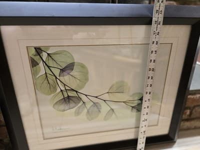 ALBERT KOETSIER framed signed ART PRINT XRAY BRANCH Framed W/matte 20"x24" - Thumbnail 2