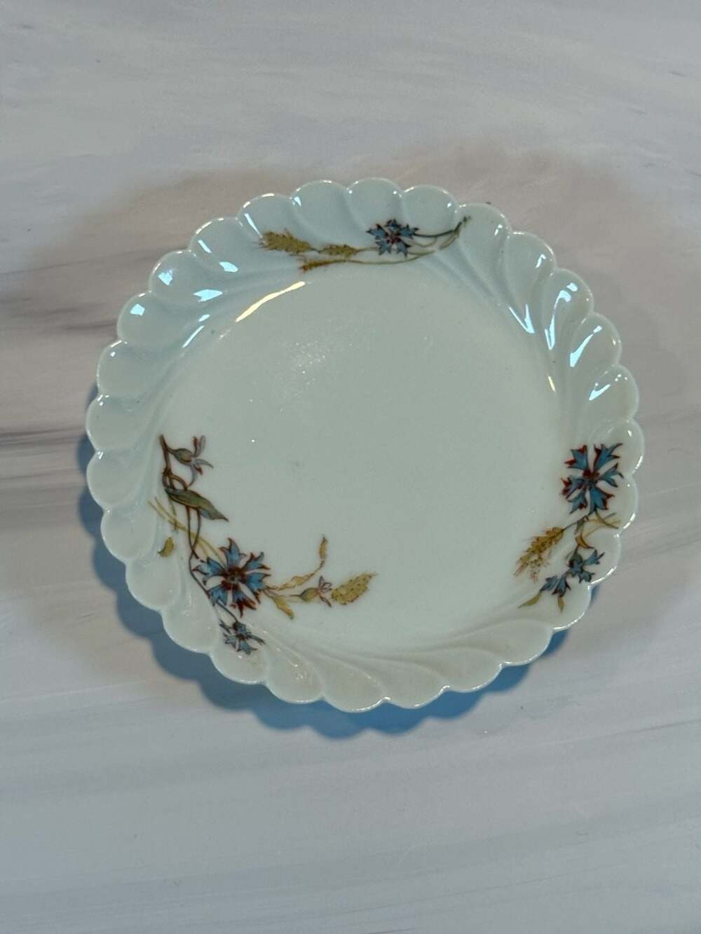 Teacup/Saucer: Haviland & Co.-Schleiger 73 Blue Cornflowers and Wheat Pattern - Thumbnail 3