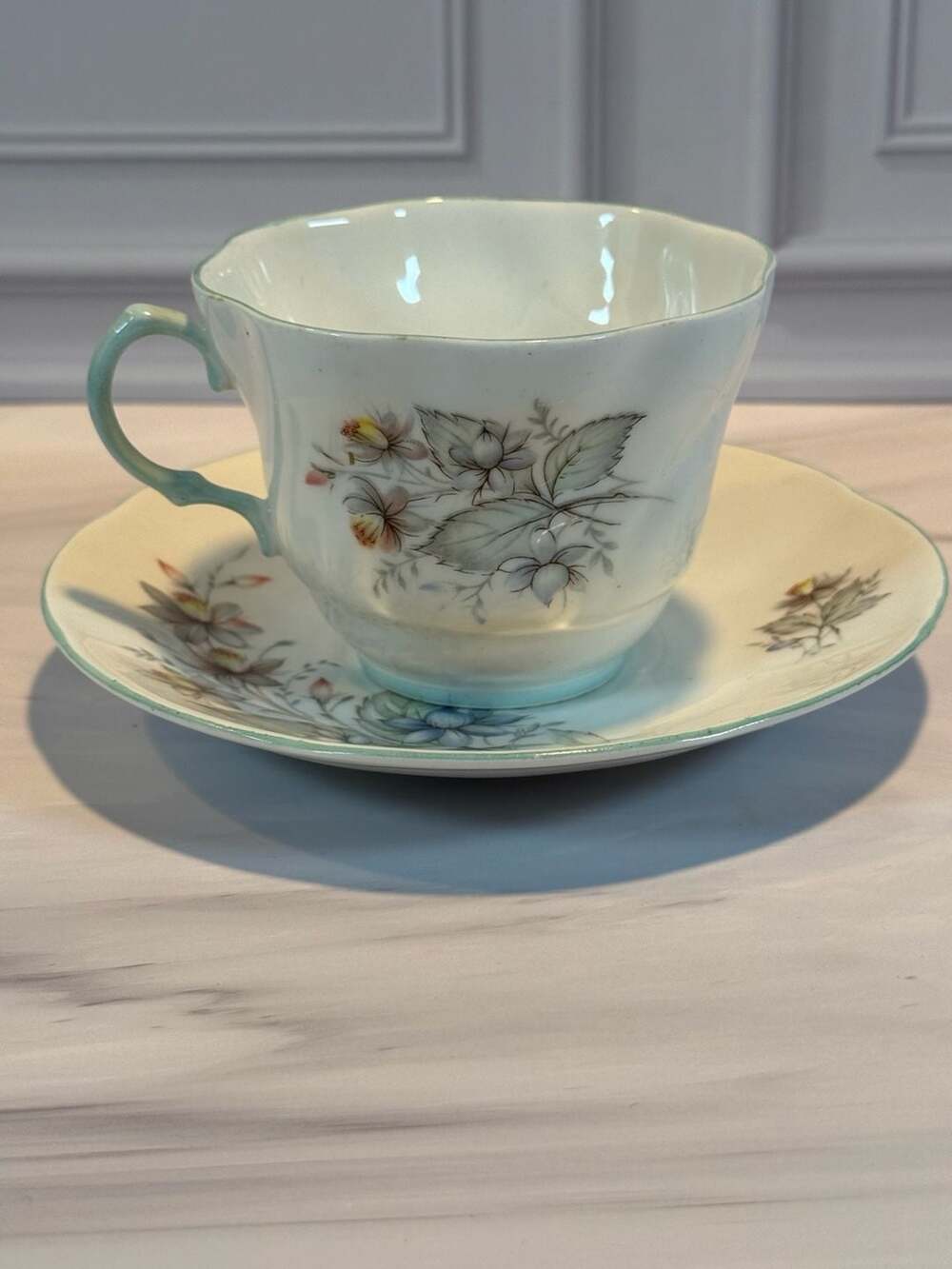 Rosina Fine Bone China Tea Cup & Saucer England "Centenary Dear"