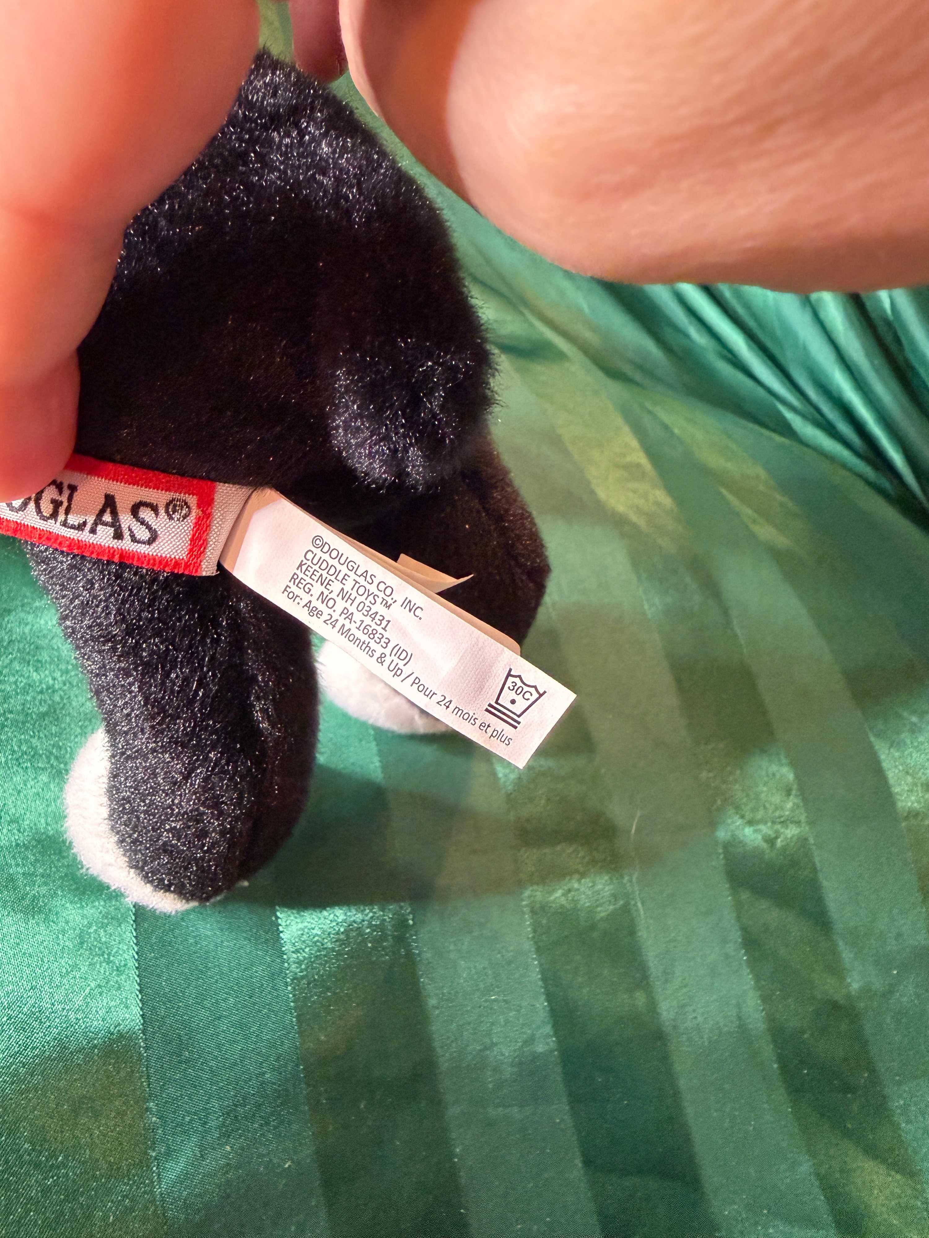 Douglas Boston Terrier Plush Toy Black & White 2021 - Thumbnail 5
