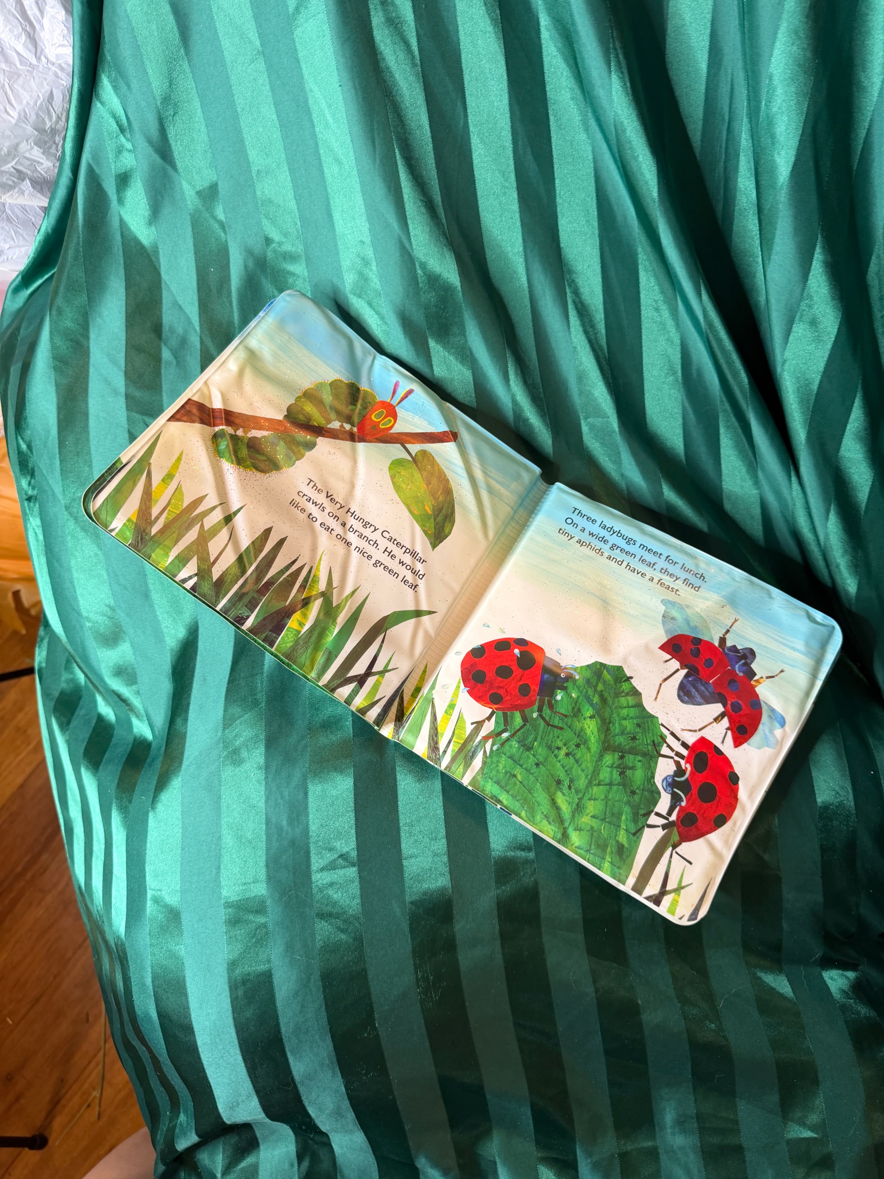 World of Eric Carle Bath Time Books Set - Thumbnail 5