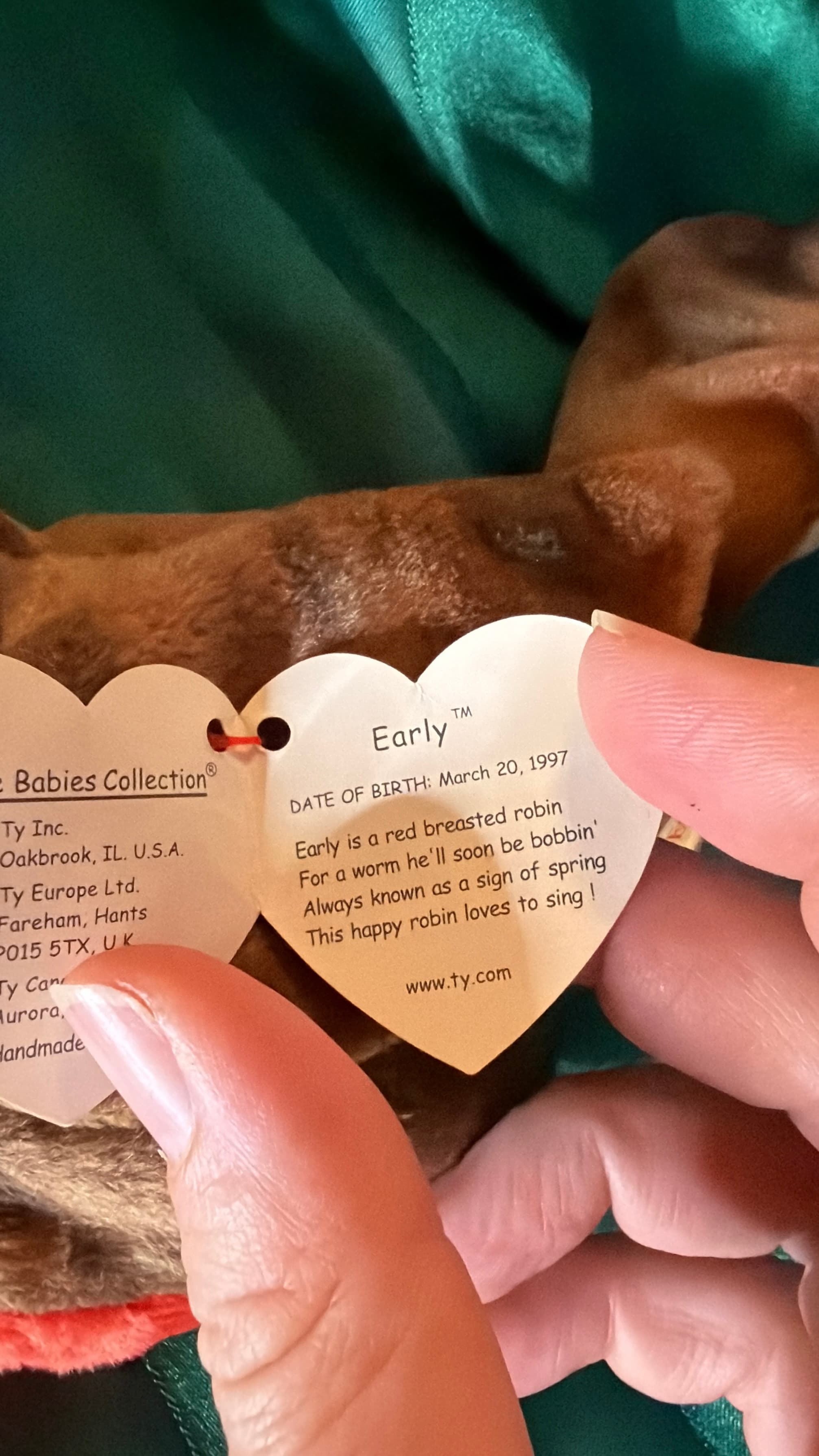 Ty Beanie Baby Early the Robin 1997 - Thumbnail 2