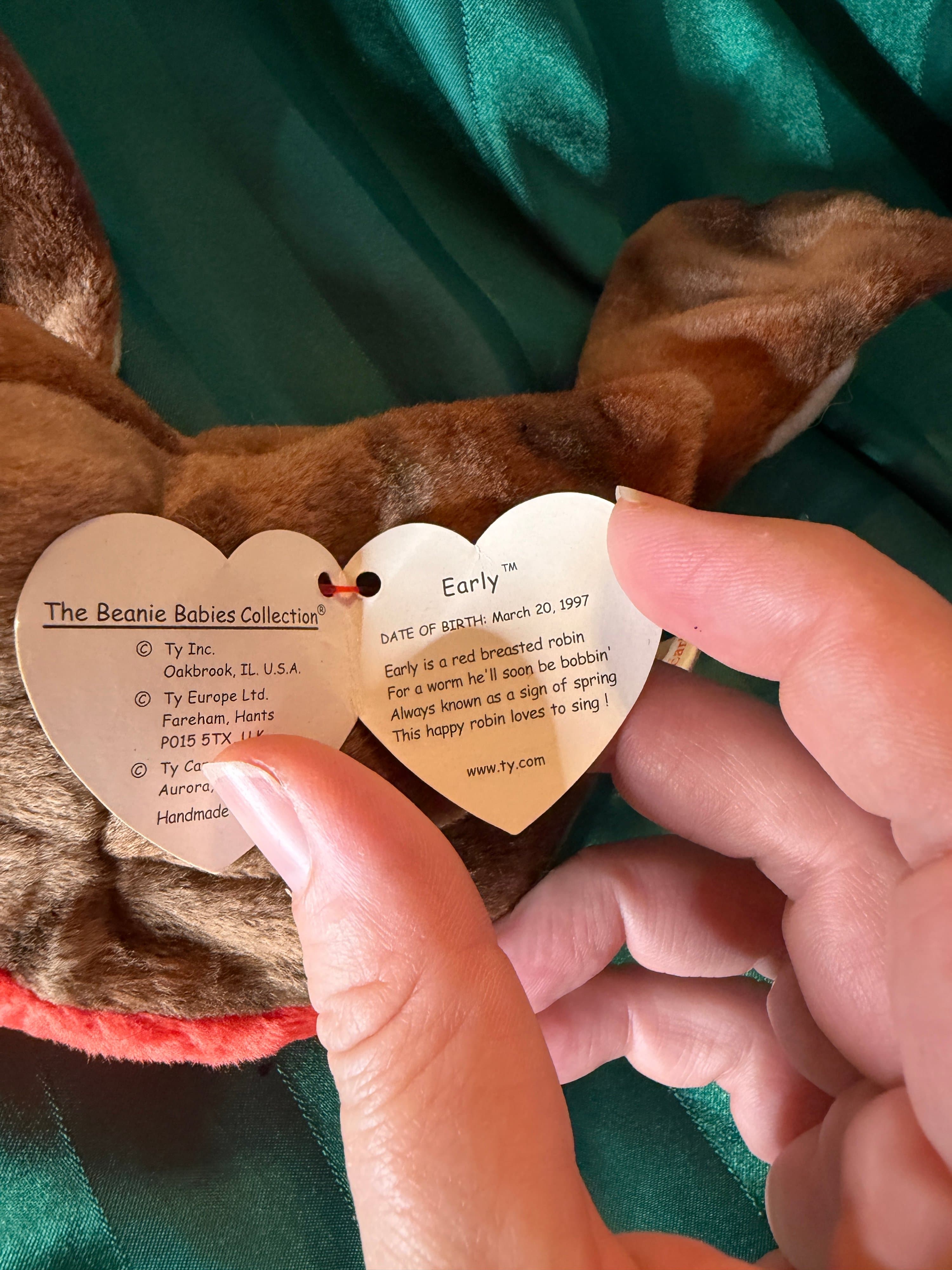 Ty Beanie Baby Early the Robin 1997 - Thumbnail 4