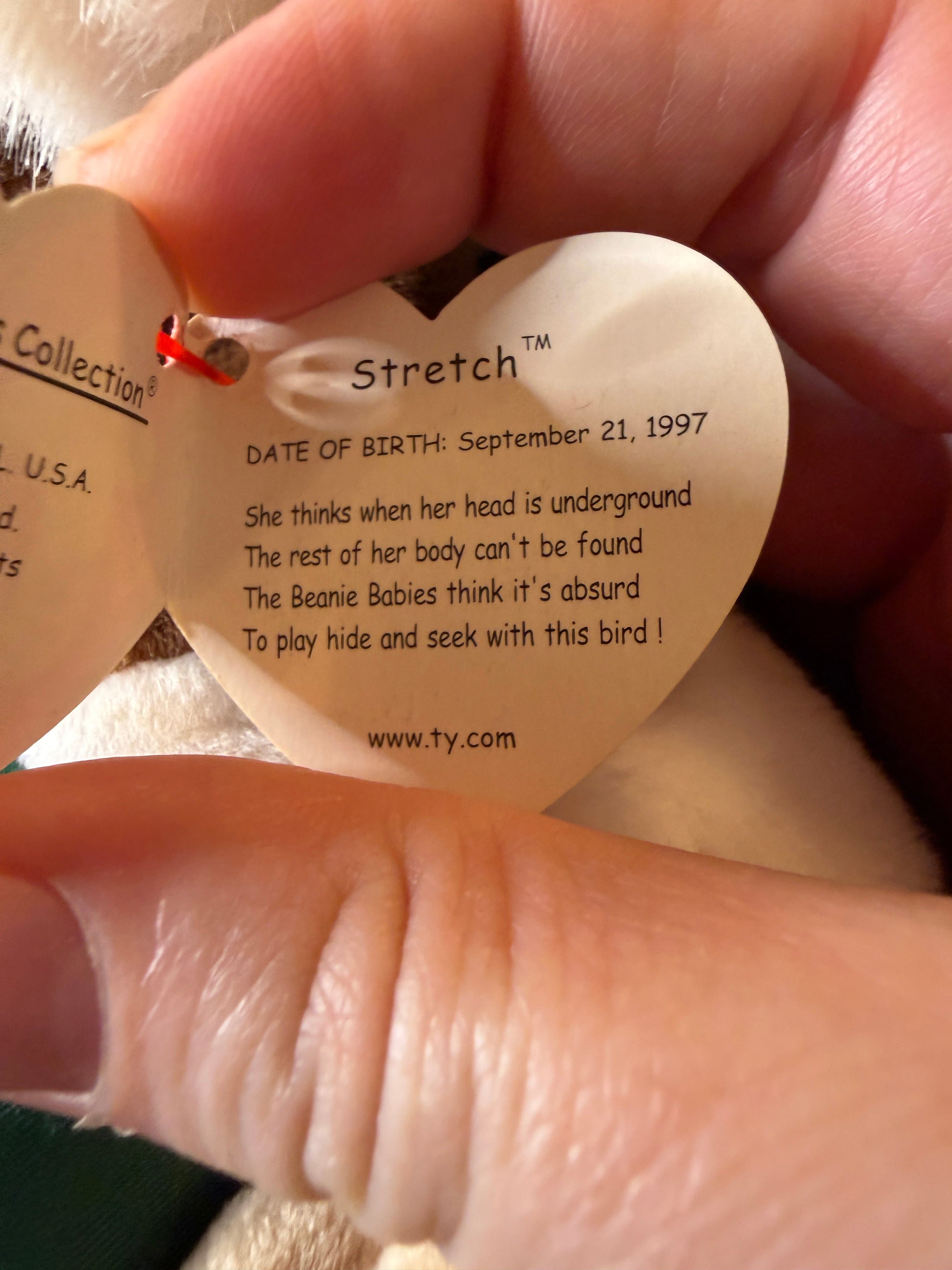 Ty Beanie Babies Stretch Ostrich 1997 - Thumbnail 5