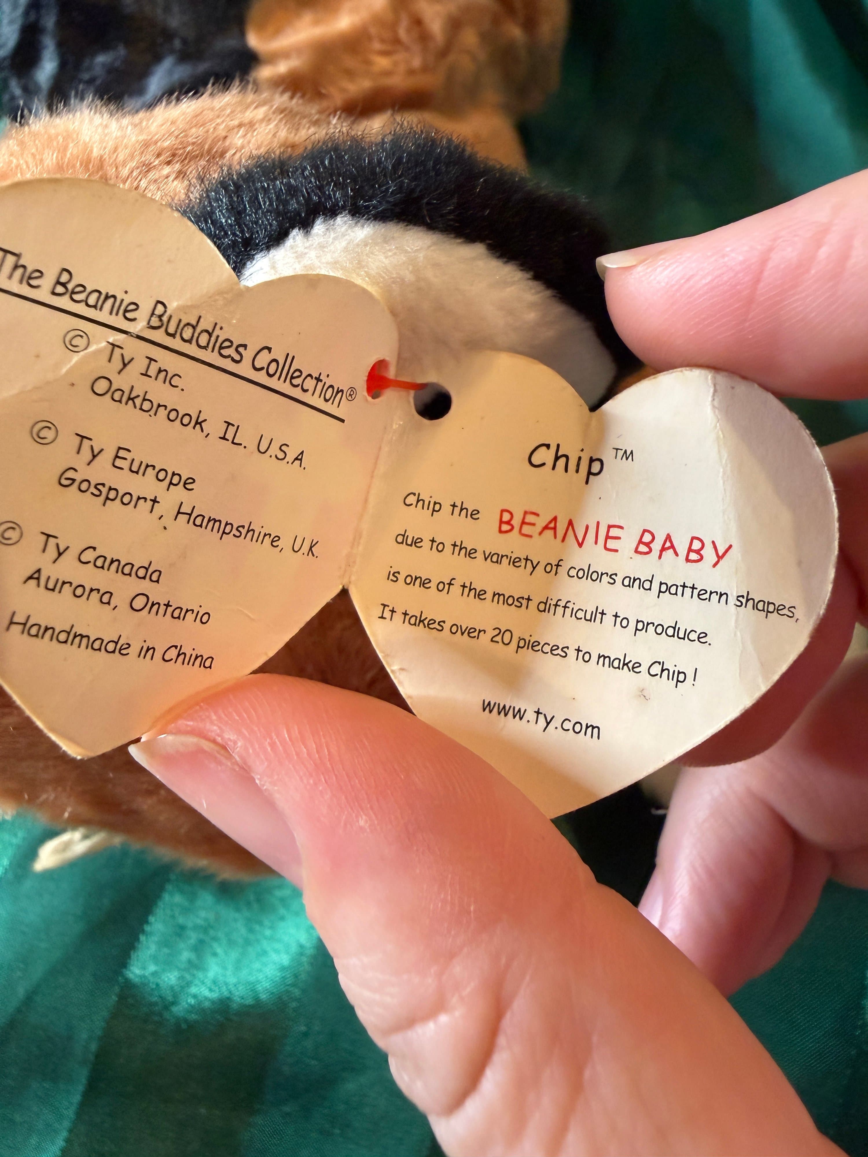 Ty Beanie Buddies Chip Plush Toy - Thumbnail 3
