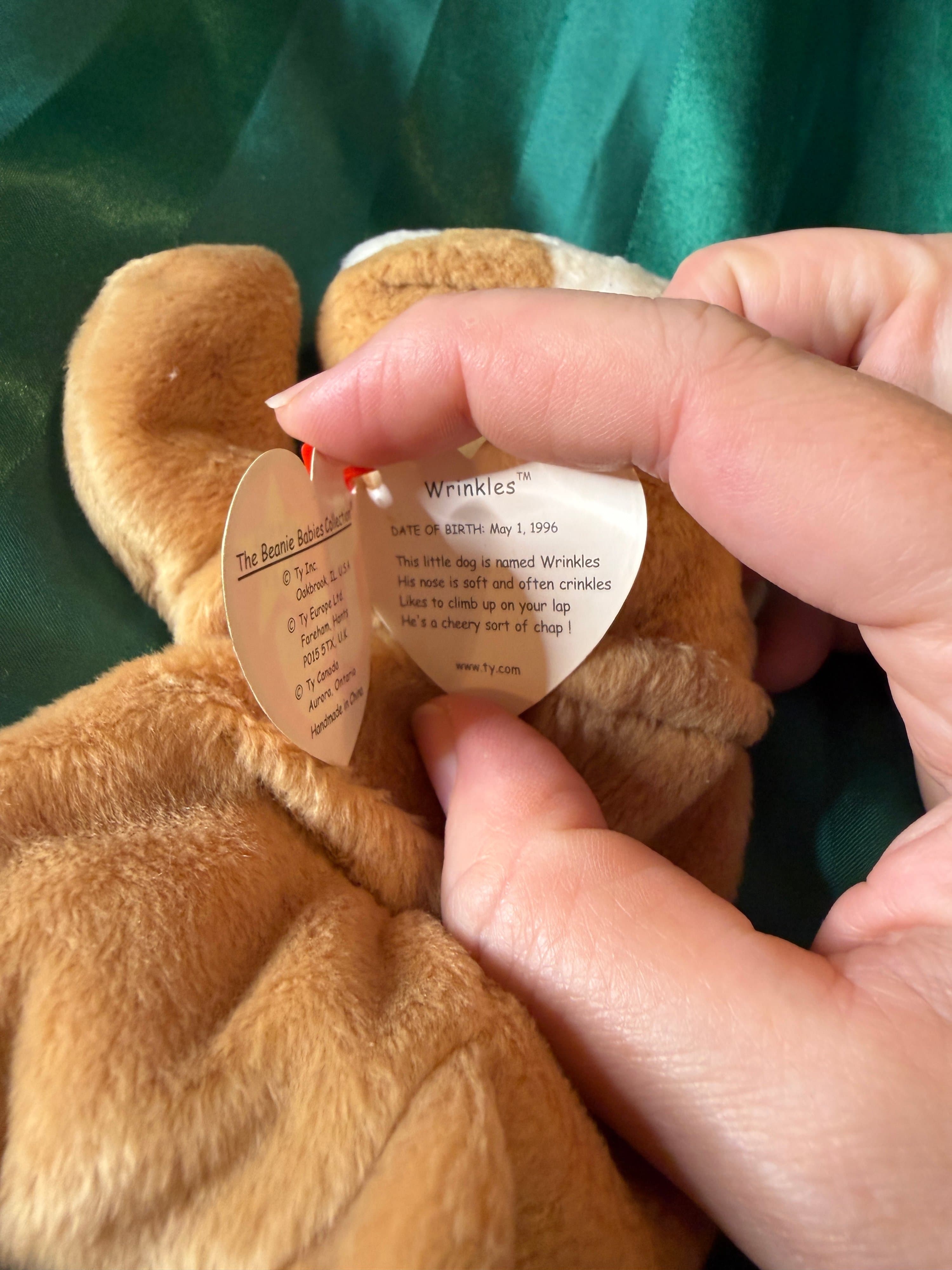 Ty Beanie Baby Wrinkles Bulldog Plush 1996 - Thumbnail 2