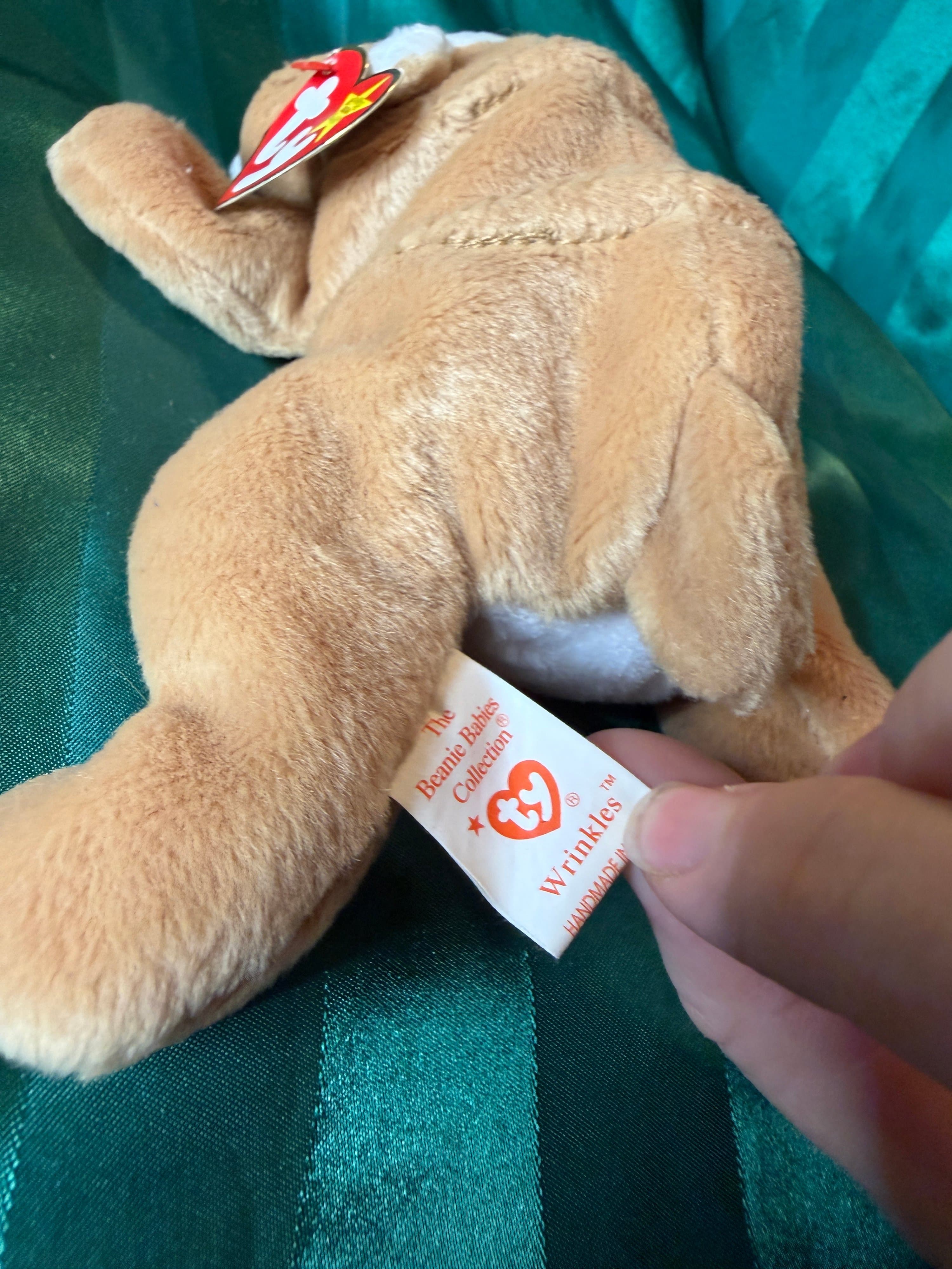 Ty Beanie Baby Wrinkles Bulldog Plush 1996 - Thumbnail 3