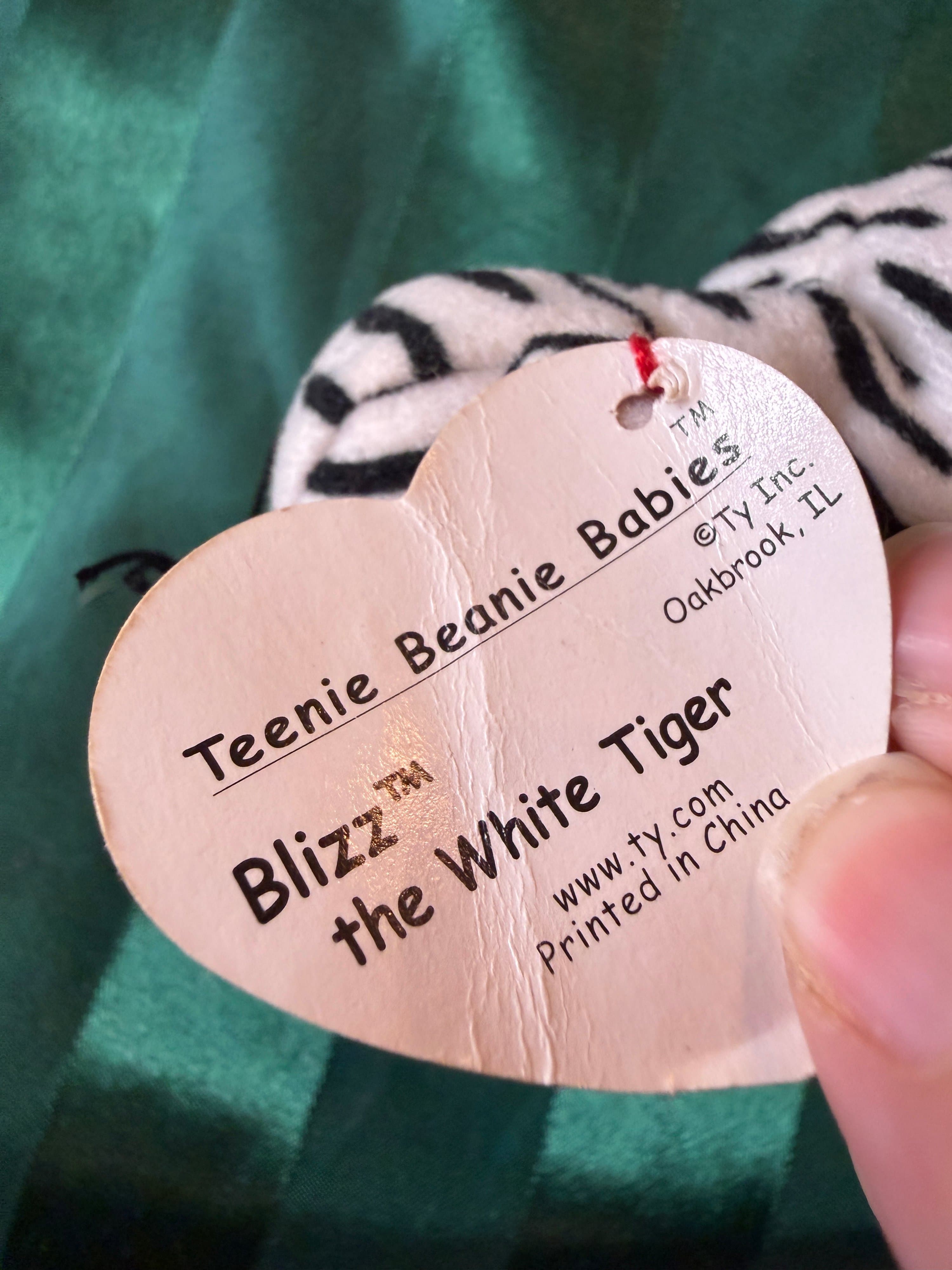 Ty Teenie Beanie Babies Blizz the White Tiger Plush - Thumbnail 2