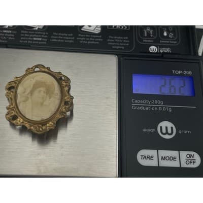 Antique Gibson Girl Era Portrait Brooch Real Photo Brass Frame c.1900 Edwardian - Thumbnail 8