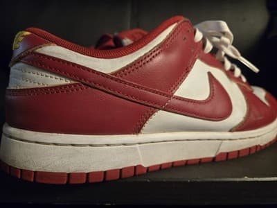 Nike Dunk Low Retro DD1391-602 Gym Red White - Mens Size 10.5 USC Colors - Thumbnail 6