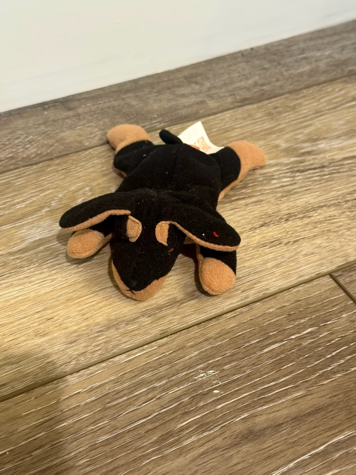 TY Beanie Babies Lot - Thumbnail 17