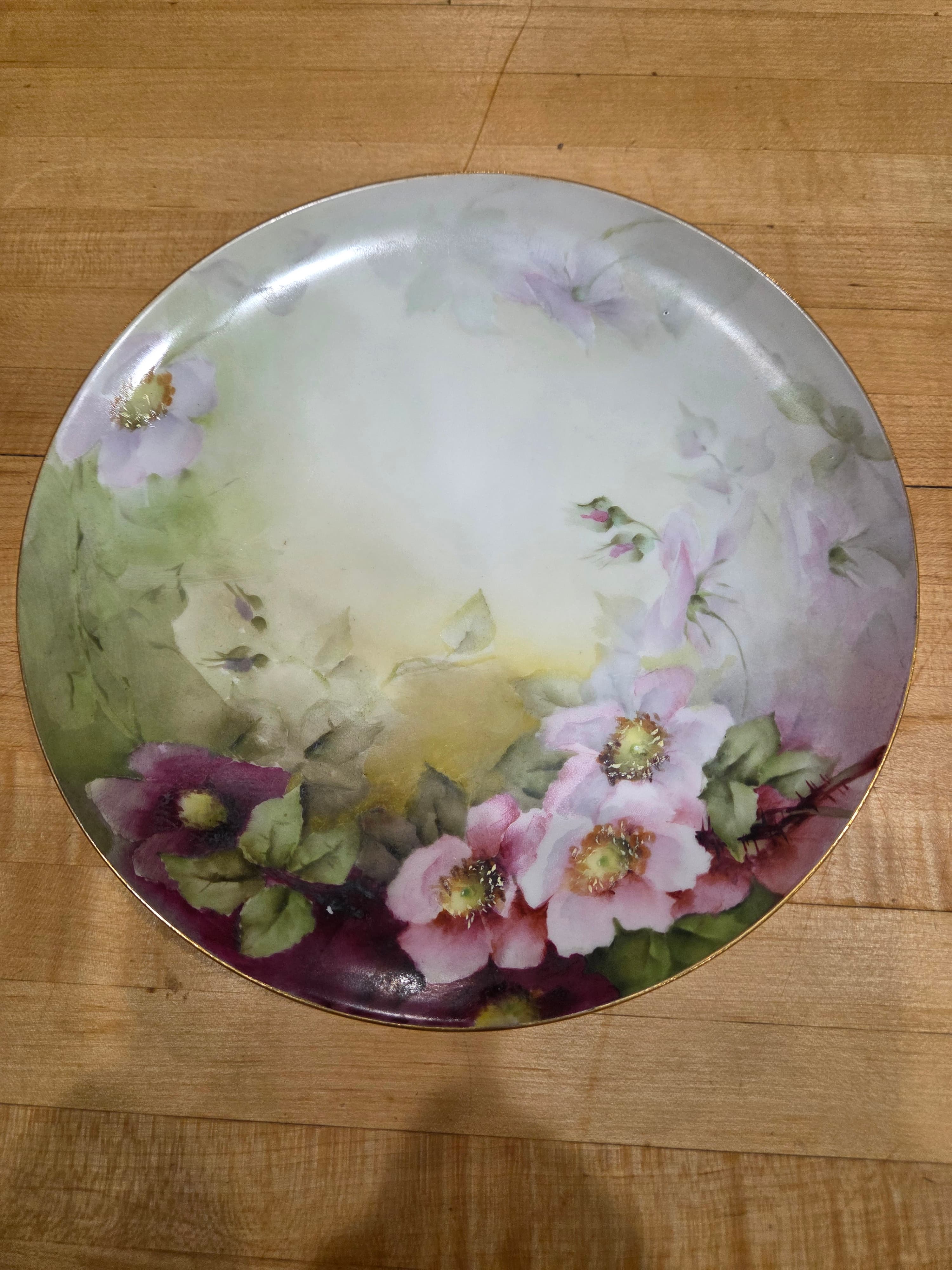 Antique Haviland France Limoges Hand Painted Pink Wild Rose Porcelain Plate