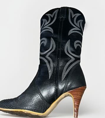 JB Dillon Women's Western Boot With Heel, 7M Snake Leather Black W Embroidery - Thumbnail 2