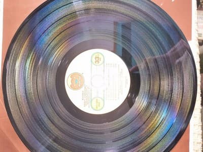Randy VanWarmer Warner LP Bearsville Pop Rock Vinyl 12" Stereo 33 RPM - Thumbnail 3