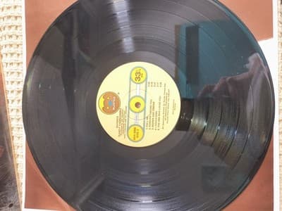 Randy VanWarmer Warner LP Bearsville Pop Rock Vinyl 12" Stereo 33 RPM - Thumbnail 4
