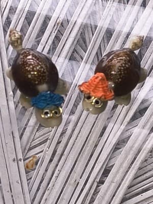 Seashell Turtles Minis