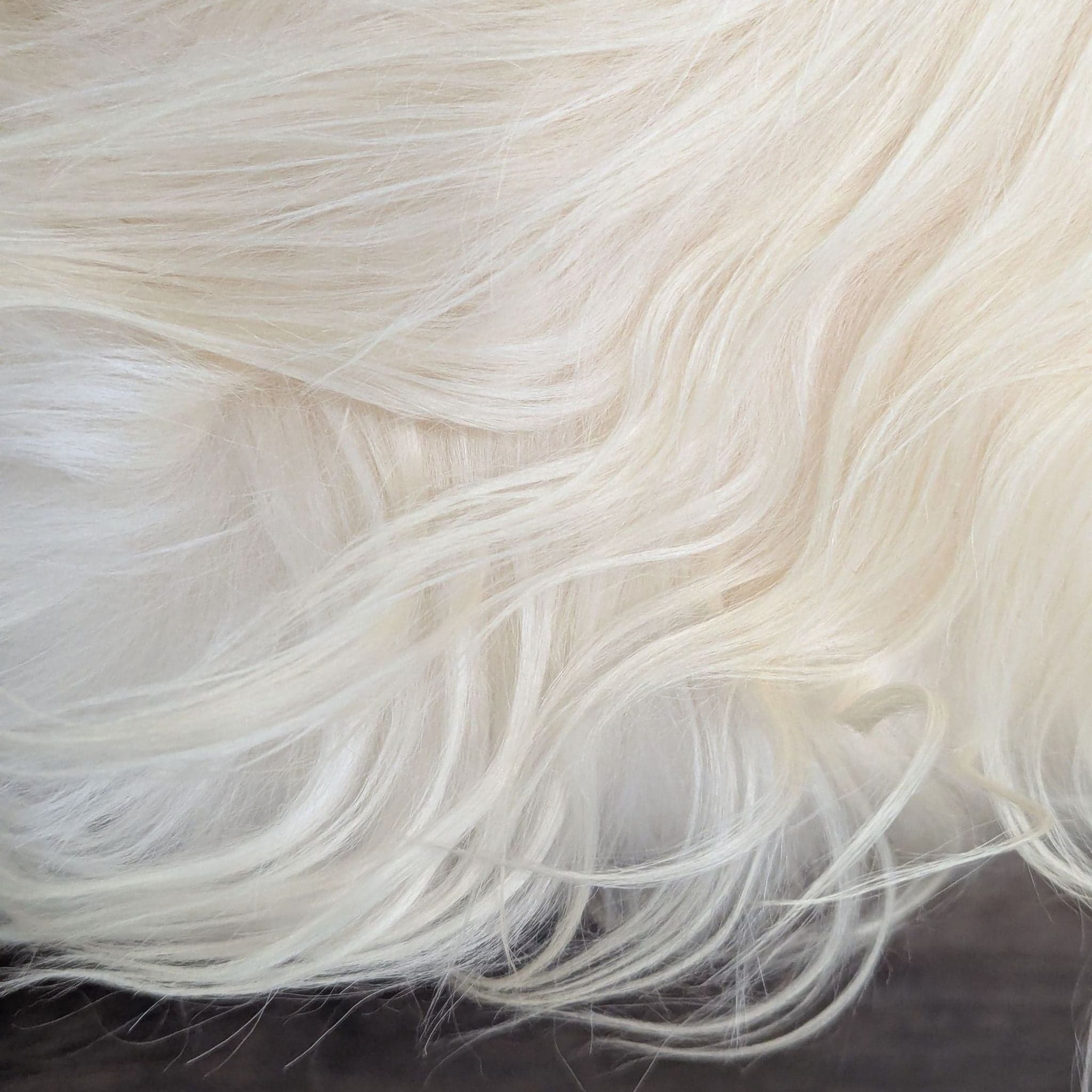CB2 Sheepskin Stool - Thumbnail 4