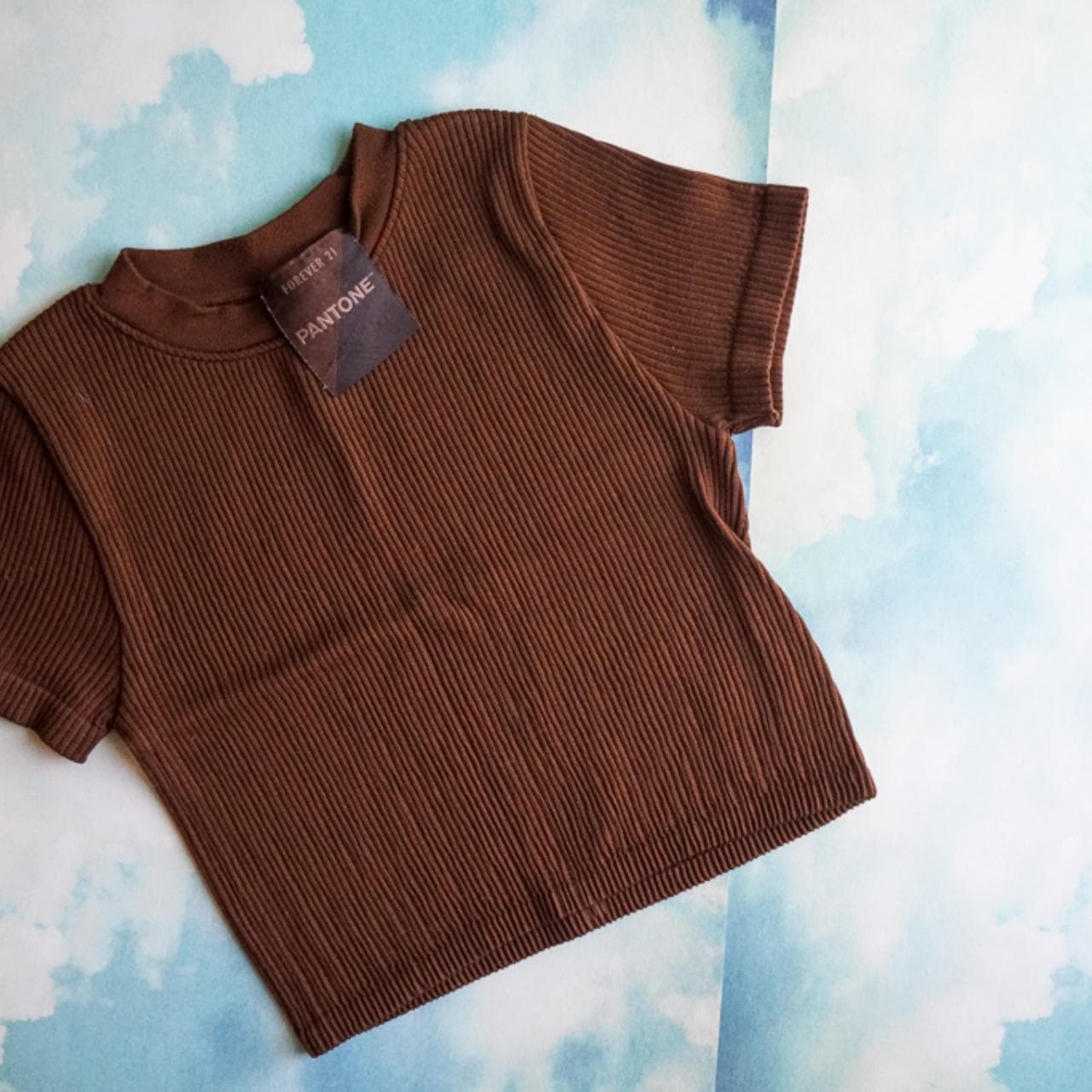 Stretchy chocolate brown #Pantone collab crop top. Size adult women's small 🍫