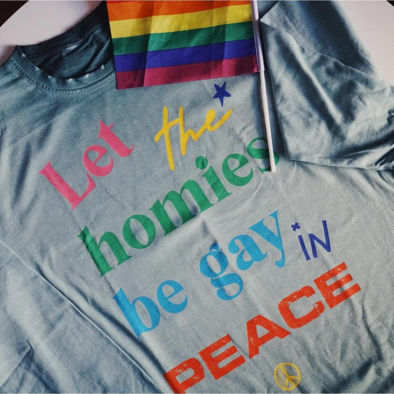 PSA: Let the Homies Be... #Pride 2022 long sleeve tee in vintage turquoise. Size adult M. Fits oversized. #LGBT #Queer