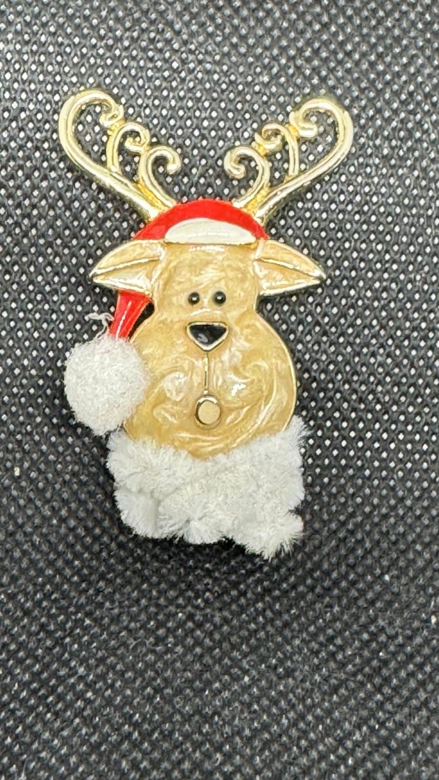 Pin/Brooch