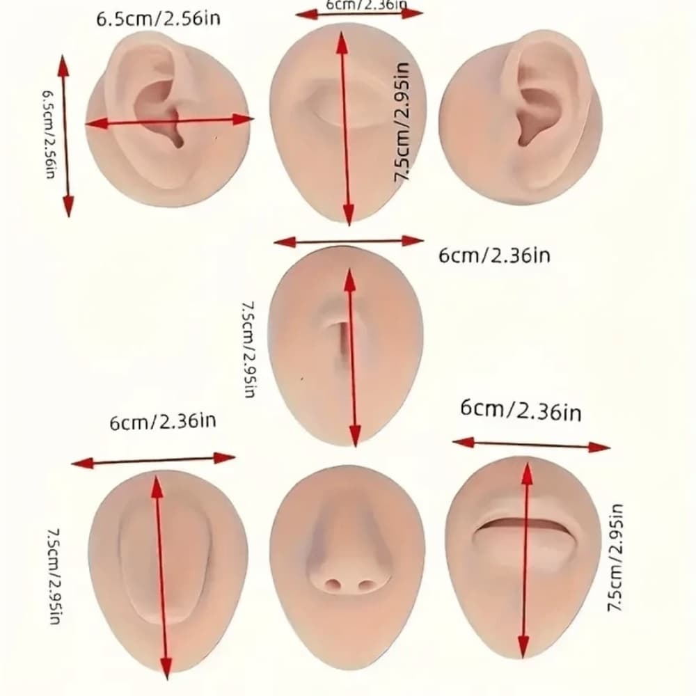 Realistic Silicone Practice Face and Ears