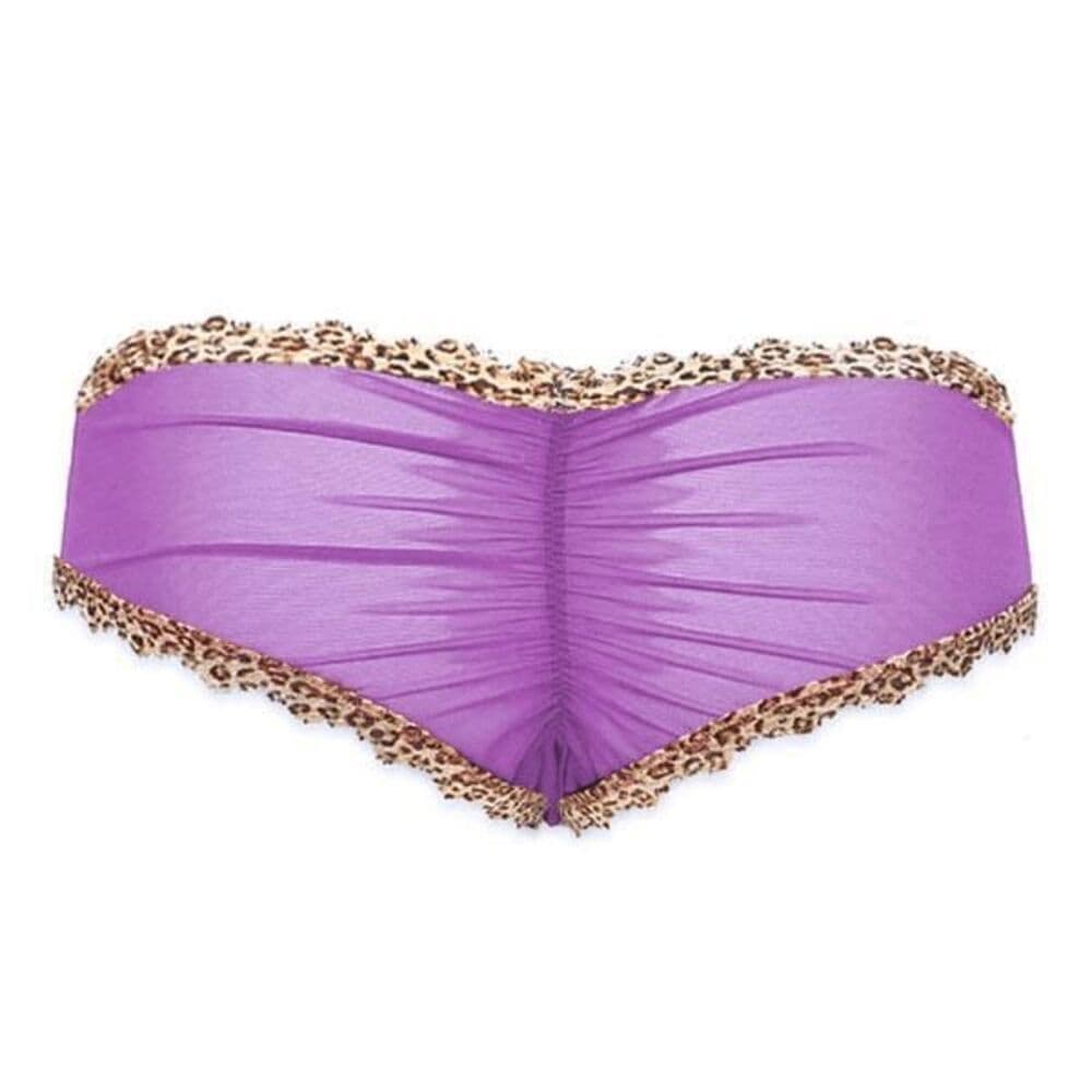 Bristol Six: Violet Leopard Nippies & Cheeky Set Size: Large​